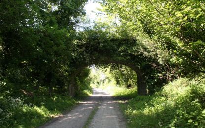 Former Belfast and County Down Railway Former Belfast and County Down Railway