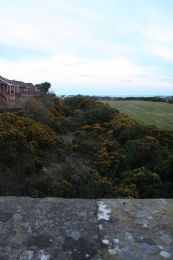 Newtownards to Donaghadee former railway