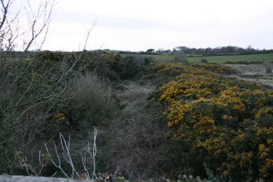 Newtownards to Donaghadee former railway