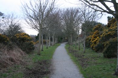 Newtownards to Donaghadee former railway