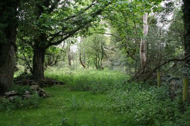 Former Belfast and County Down Railway Former Belfast and County Down Railway