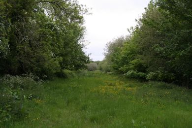 Armagh to Portadown former railway Armagh to Portadown former railway