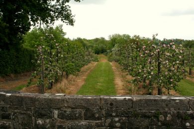 Armagh to Portadown former railway Armagh to Portadown former railway
