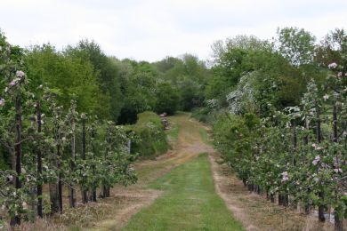 Armagh to Portadown former railway Armagh to Portadown former railway