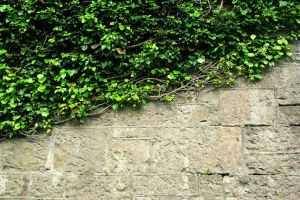 Railway bridge abutment Ballybrannon Road Railway bridge abutment Ballybrannon Road