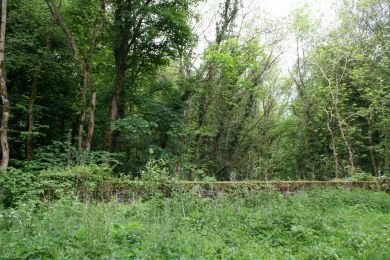 Cortynan Road railway bridge ©nigreenways Cortynan Road railway bridge