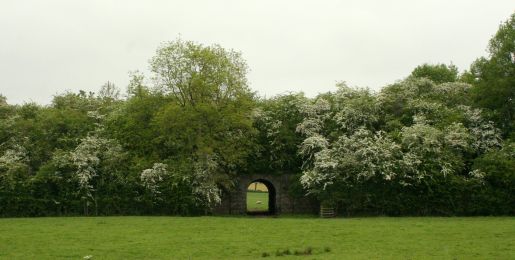 One sheep and her railway tunnel, Cortynan Road / R185 ©nigreenways One sheep and her railway tunnel, Cortynan Road / R185
