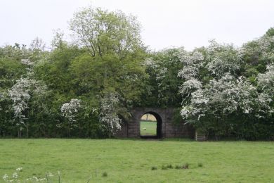 One sheep and her railway tunnel, Cortynan Road / R185 ©nigreenways One sheep and her railway tunnel, Cortynan Road / R185