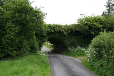 Railway bridge, Faulkland, Glaslough, Co. Monaghan ©nigreenways Railway bridge, Faulkland, Glaslough, Co. Monaghan
