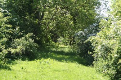 Former Belfast and County Down Railway