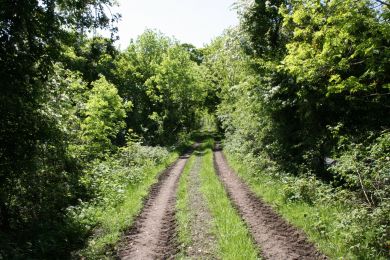 Former Belfast and County Down Railway