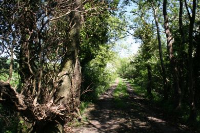 Former Belfast and County Down Railway