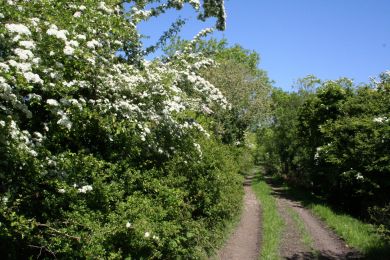 Former Belfast and County Down Railway