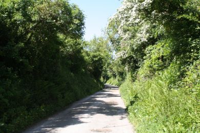 Former Belfast and County Down Railway