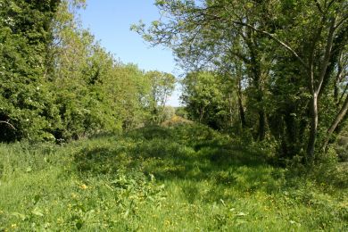 Outside Loughgilly Tunnel ©nigreenways ©nigreenways Outside Loughgilly Tunnel