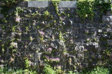 Former Armagh to Newry railway ©nigreenways