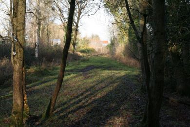 Former railway through Randalstown Forest Former railway through Randalstown Forest