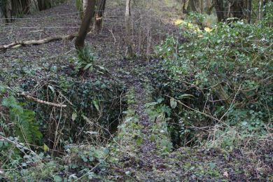 Former railway through Randalstown Forest
