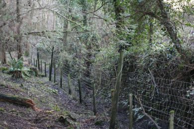 Former railway through Randalstown Forest
