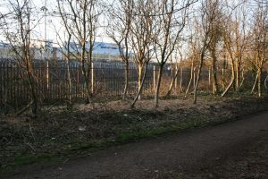 Alderman Tommy Patton Memorial Park looking at George Best Belfast City Airport terminal ©nigreenways Alderman Tommy Patton Memorial Park looking at George Best Belfast City Airport terminal