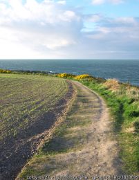 Orlock Point coastal pathway