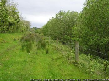 Along the old railway track, Omagh ©Kenneth Allen Along the old railway track, Omagh