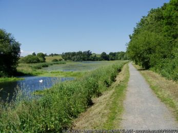 Lagan Canal - The Broadwater Walk ©Henry Clark Lagan Canal - The Broadwater Walk