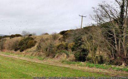 Old railway embankment, Newport/Culcavy ©Albert Bridge Old railway embankment, Newport/Culcavy