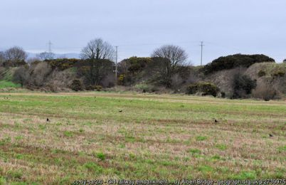 Old railway embankment, Newport/Culcavy ©Albert Bridge Old railway embankment, Newport/Culcavy