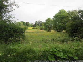 Wetland fields ©Richard Webb Wetland fields