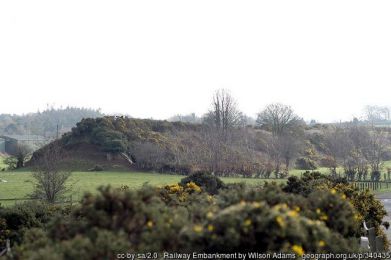 Railway Embankment ©Wilson Adams Railway Embankment