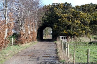 Access Path, Culcavy Road ©Wilson Adams Access Path, Culcavy Road