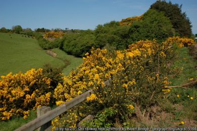 Old railway near Dromore ©Albert Bridge Old railway near Dromore
