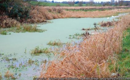 Disused Lagan Navigation near Moira ©Albert Bridge Disused Lagan Navigation near Moira