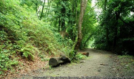 The old Scarva line near Banbridge ©Albert Bridge The old Scarva line near Banbridge