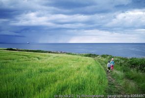 Field and Path, Orlock ©Rossographer Field and Path, Orlock