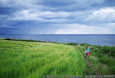 Field and Path, Orlock ©Rossographer Field and Path, Orlock