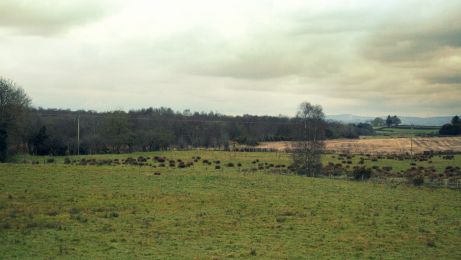 Former railway line marked by current tree line, Aghadowey ©nigreenways Former railway line marked by current tree line, Aghadowey