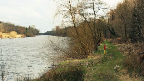 Camus picnic area and green riverside trail ©nigreenways Camus picnic area and green riverside trail