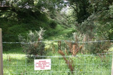 Railway line heading northwest from Ballyroney Railway Station ©nigreenways Railway line heading northwest from Ballyroney Railway Station