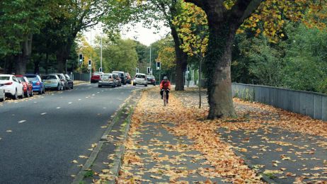 Autumn leaves on the Stranmillis Embankment cycleway ©nigreenways Autumn leaves on the Stranmillis Embankment cycleway