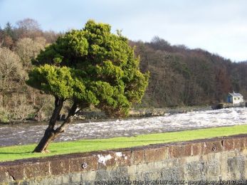 The Cutts ©Henry Clark The Cutts