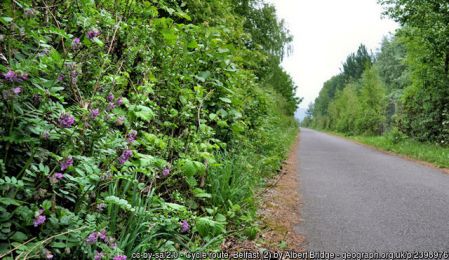 Cycle route, Belfast ©Albert Bridge Cycle route, Belfast