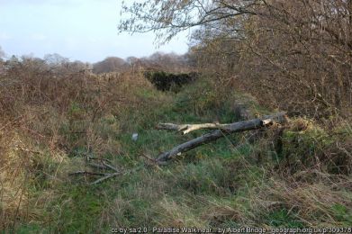Paradise Walk near Templepatrick (old line) ©Albert Bridge Paradise Walk near Templepatrick (old line)
