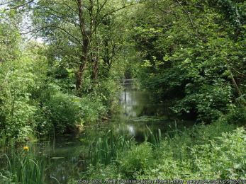 Coalisland Canal ©Robert Ashby Coalisland Canal