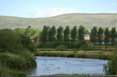Bog Meadows ©Paul McIlroy Bog Meadows