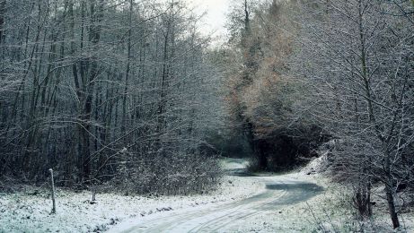 Snowy Comber Greenway ©nigreenways Snowy Comber Greenway
