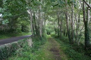 Coastal pathway north of Dundrum Coastal pathway north of Dundrum