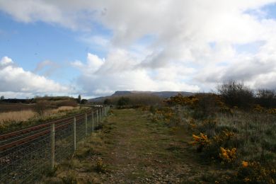 Divergence of old railway line at Limavady Junction Divergence of old railway line at Limavady Junction