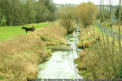 The disused Newry Canal at Jerrettspass ©Albert Bridge The disused Newry Canal at Jerrettspass
